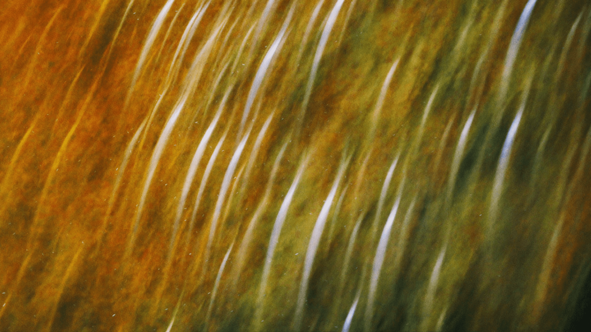 Golden ochre long-exposure blending into meadow green